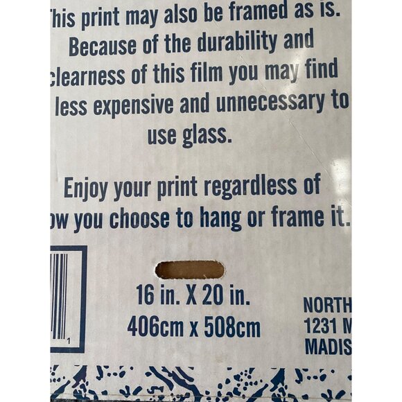 Floral Art Print By Karen Warren 16"‎ X 20" Hang Or Frame As Is botanical - Picture 7 of 7